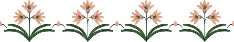 Hand Drawn Colchicum Flower Line Pattern